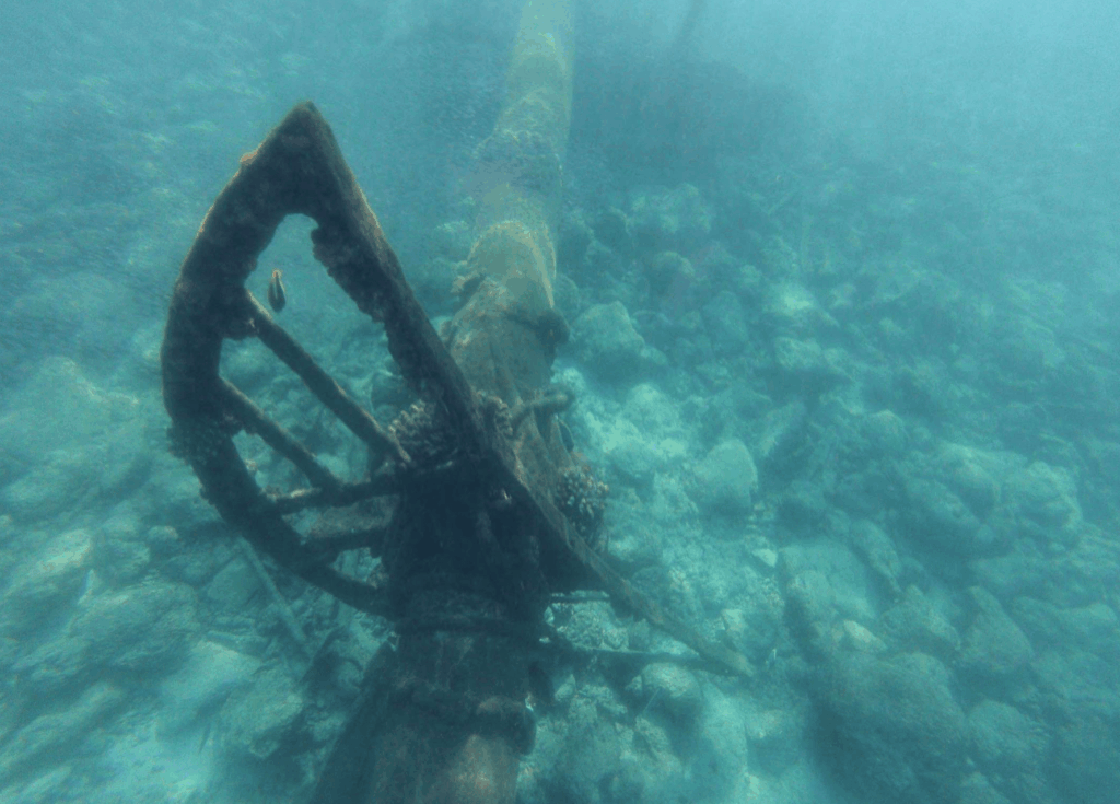 The Iron Wreck of Eagle Island