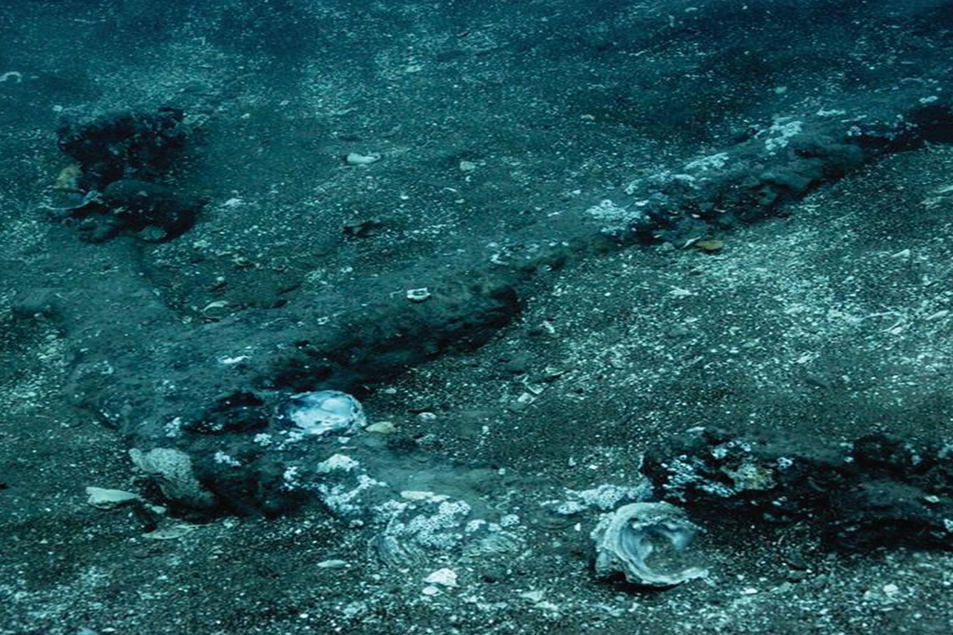 <p>5 nT/m sensitivity cuts through sediment and low visibility where metal detectors fail.</p>
