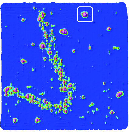 Transform to Analytic Signal Map